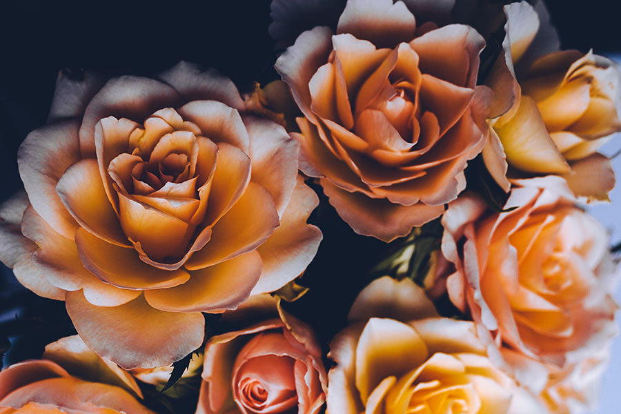 Rose Cardamom Chai Mix